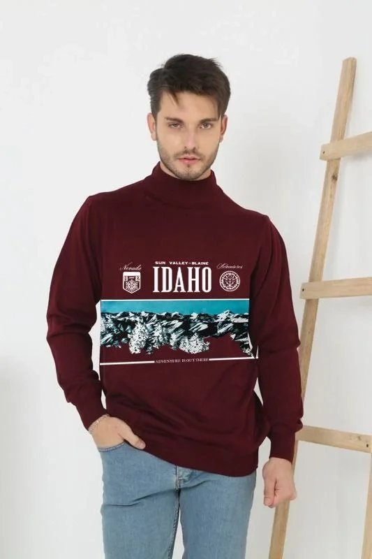 Triko Burra Burgundy Gjysmë Jakë Breshkë Printuar 1