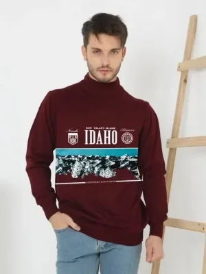 Men's Burgundy Half Turtleneck Printed Knit Sweater