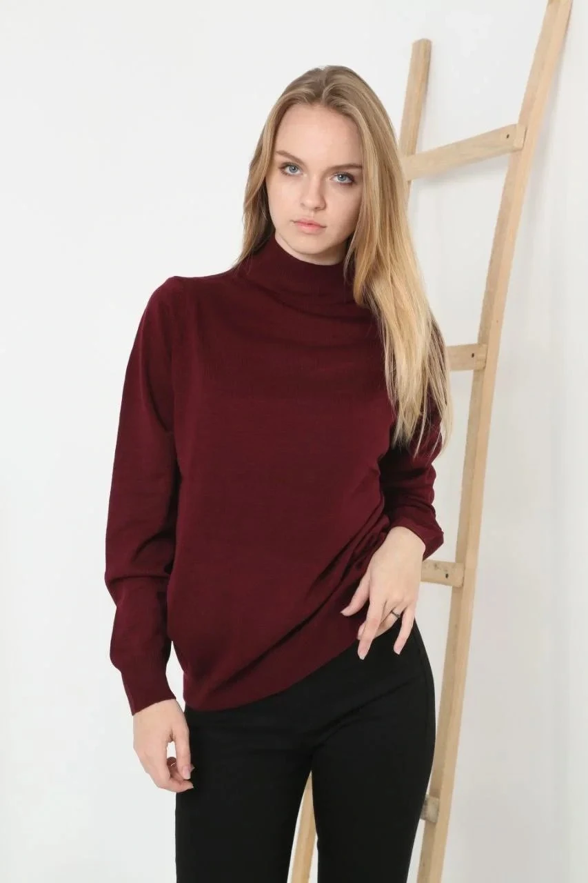 Women Burgundy Soft Texture Half Turtleneck Cotton Knit Sweater