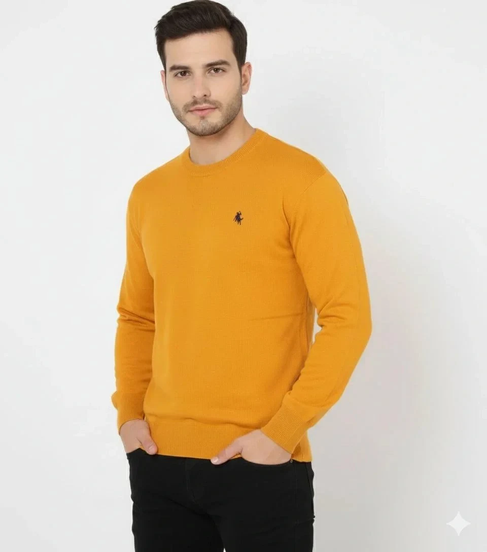 Men's Orange Bicycle Neck Embroidered Knit Sweater