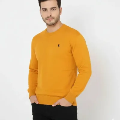 Men's Orange Bicycle Neck Embroidered Knit Sweater 1