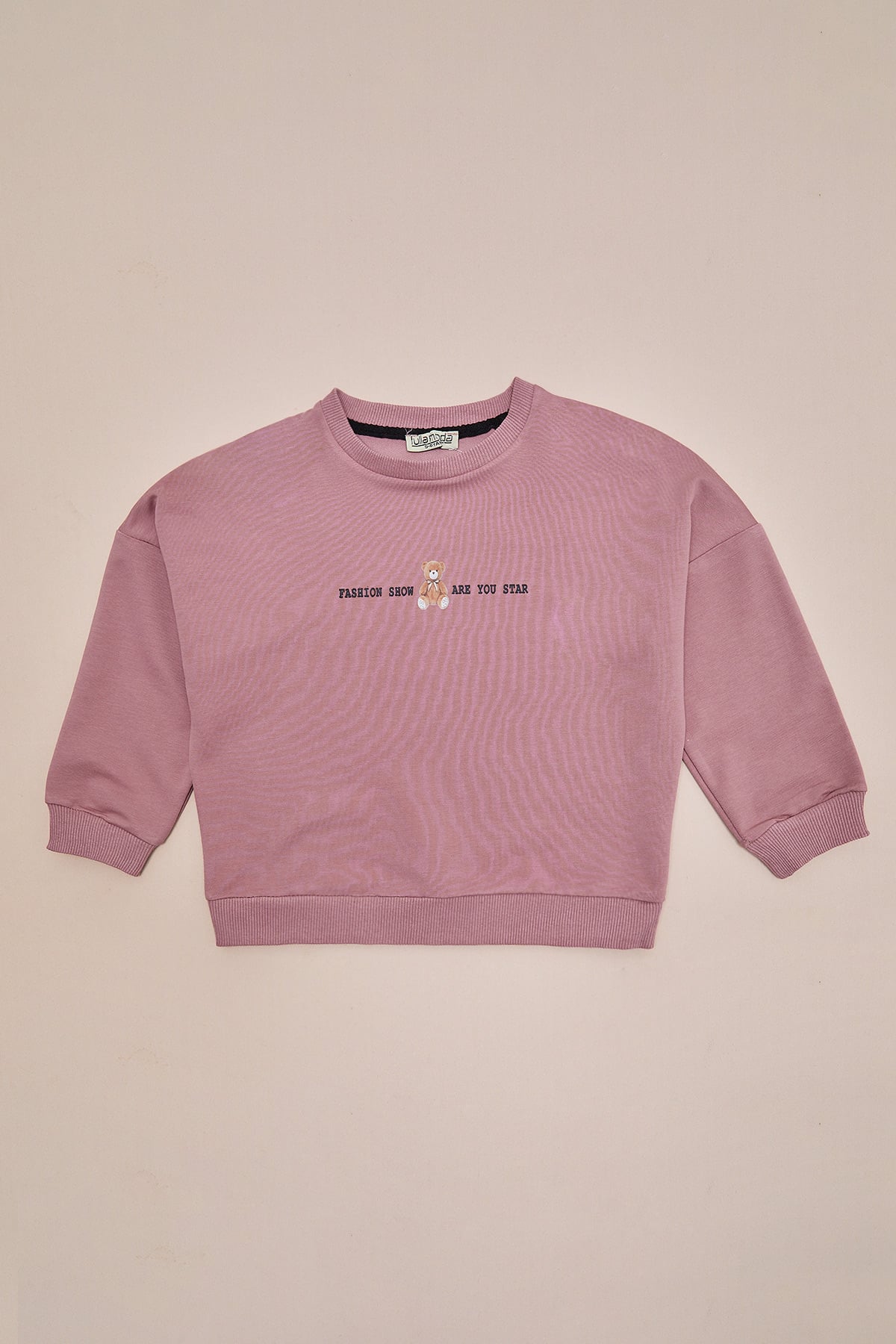 Ayıcık Baskılı Oversize Kız Çocuk Sweatshirt 3