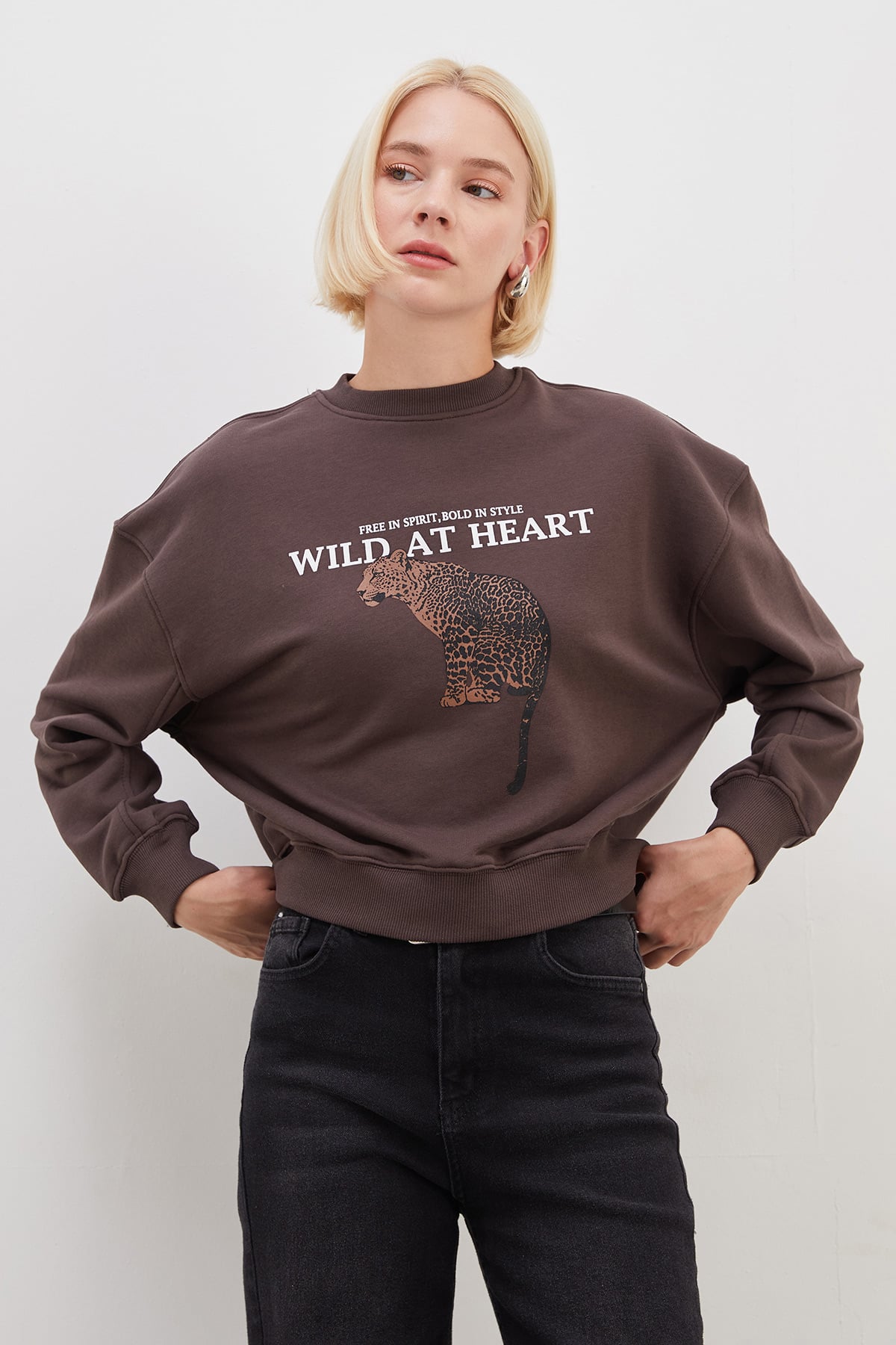 3 İplik Şardonsuz Kaplan Baskılı  Oversize Sweatshirt 3