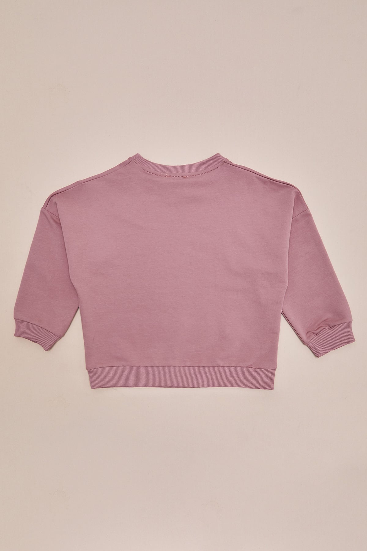 Ayıcık Baskılı Oversize Kız Çocuk Sweatshirt 4