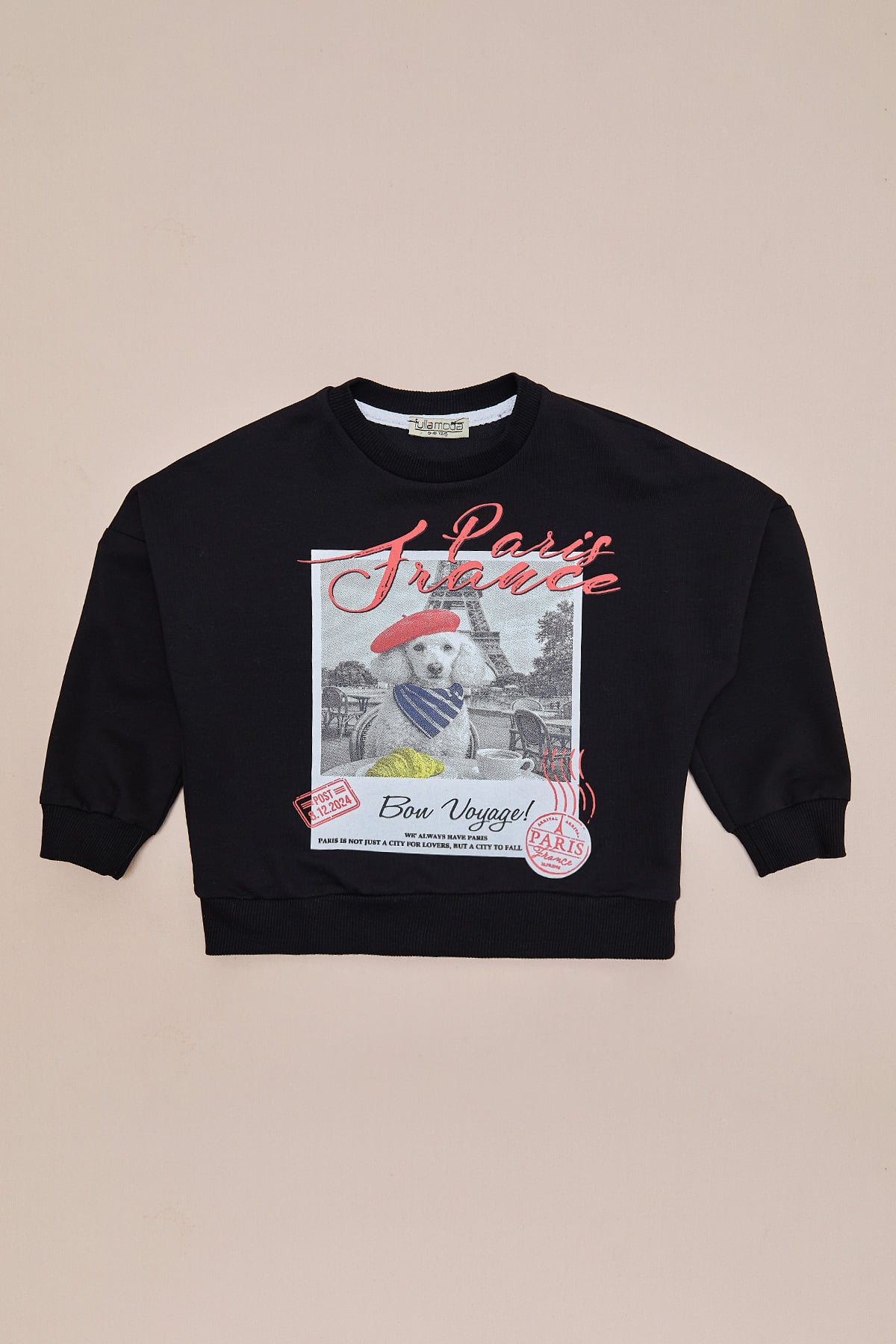 Köpek Baskılı Oversize Erkek Çocuk Sweatshirt 3