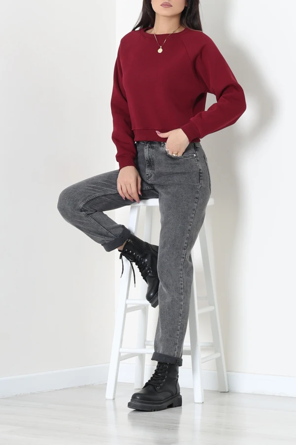 Bisiklet Yaka 3 İplik Sweat Bordo 4