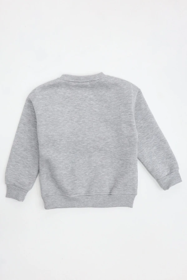 Şardonlu Erkek Çocuk Nakışlı Sweat Gri 7